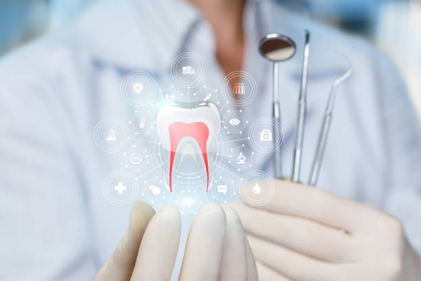 Professional  Holistic Dental Services in Dilkon, AZ